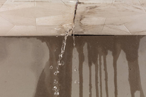 Professional Water Extraction technician working in Lehi, UT